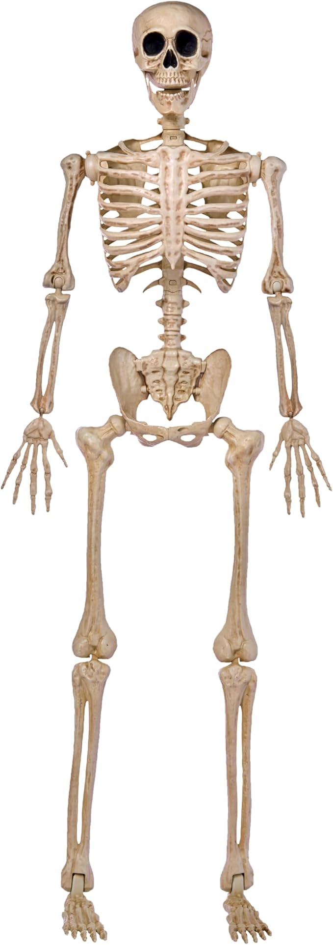5 FT Halloween Skeleton Life Size, Stayable Posable Skeleton Decor, Full Body Movable Joints Giant Skeletons for Halloween Decoration Outdoor, Haunted House Prop, Spooky Scary Graveyard Party
