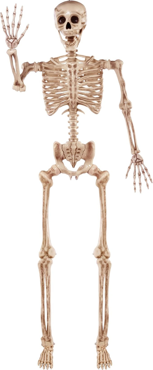 5.6 FT Halloween Posable Life Size Skeleton, Full Body Realistic Bones with Movable Joints, Giant Skeletons Halloween Decorations for Indoor Outdoor Haunted House Props, Spooky Scene Party Decor